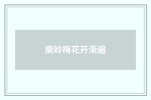 庾岭梅花开渐遍