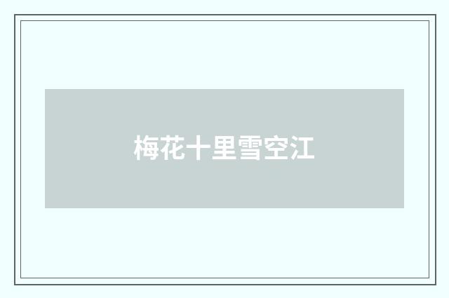 梅花十里雪空江