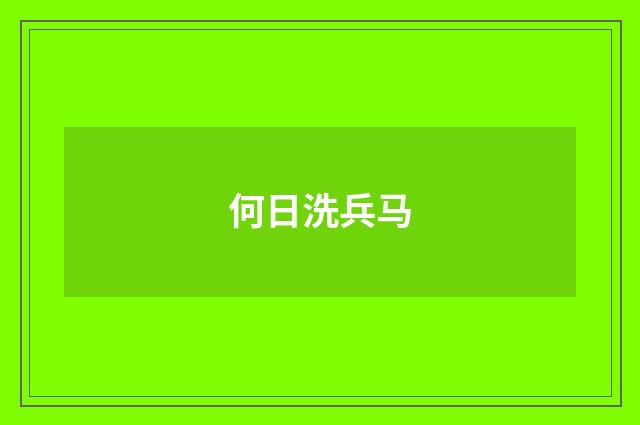 何日洗兵马