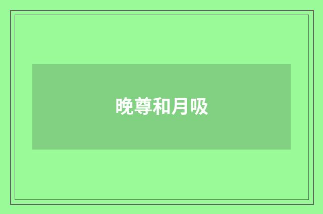 晚尊和月吸