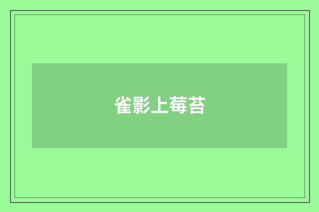 雀影上莓苔