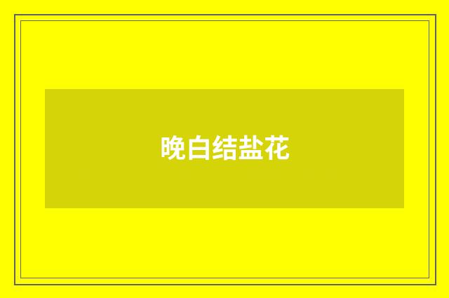 晚白结盐花