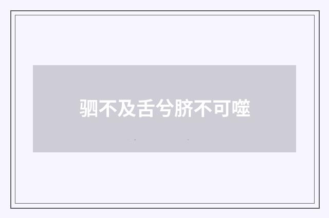 驷不及舌兮脐不可噬
