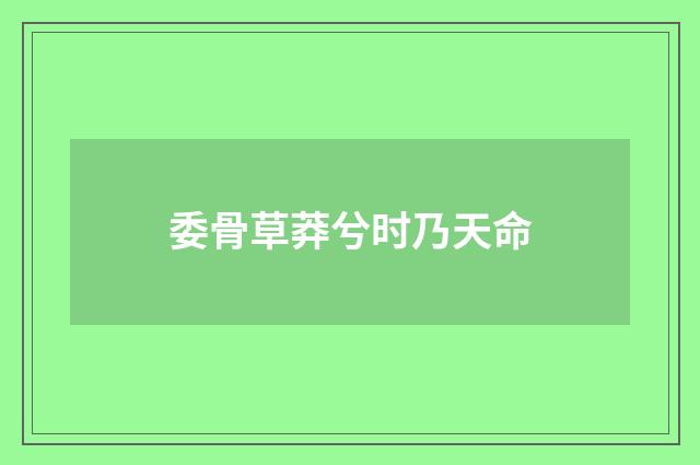 委骨草莽兮时乃天命