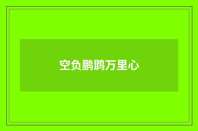 空负鹏鹍万里心