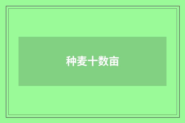 种麦十数亩