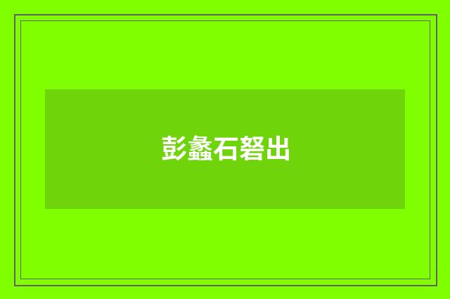 彭蠡石砮出