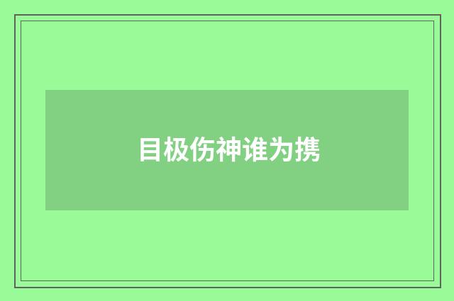 目极伤神谁为携