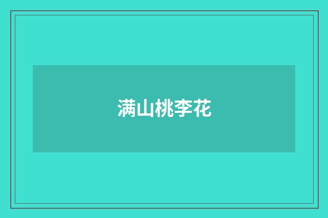 满山桃李花