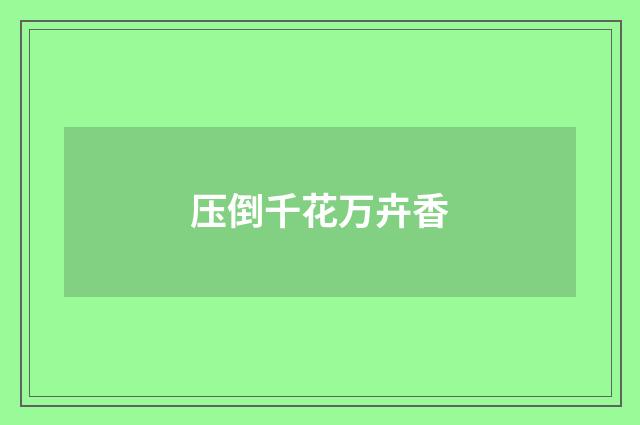 压倒千花万卉香