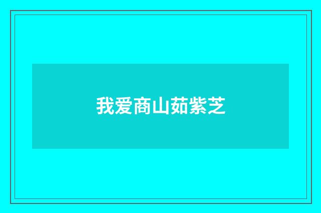 我爱商山茹紫芝