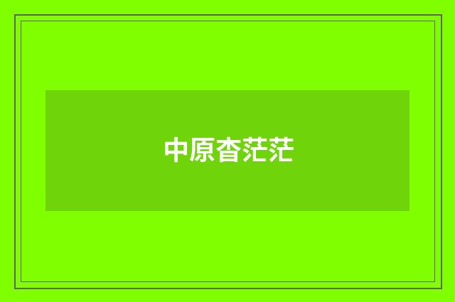 中原杳茫茫