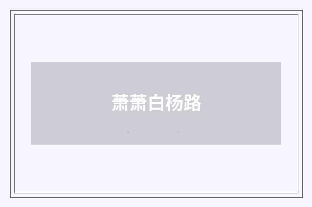 萧萧白杨路