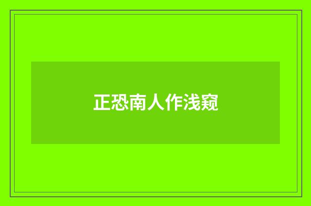 正恐南人作浅窥