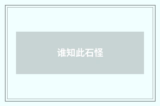 谁知此石怪
