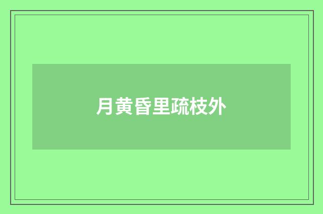 月黄昏里疏枝外