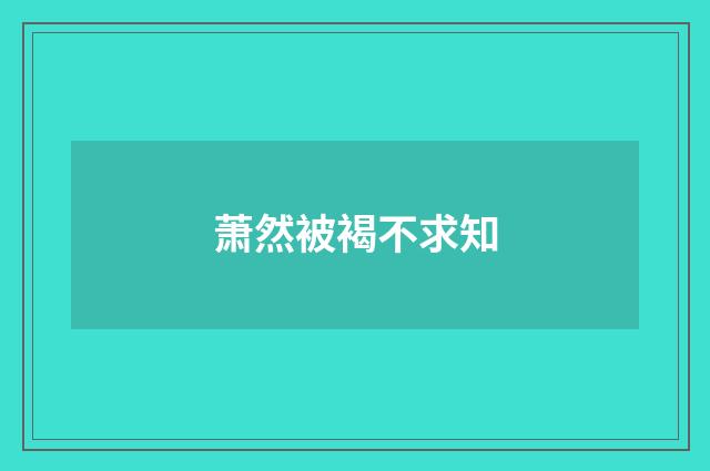 萧然被褐不求知