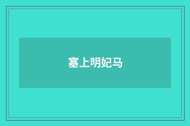 塞上明妃马
