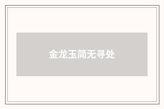 金龙玉简无寻处