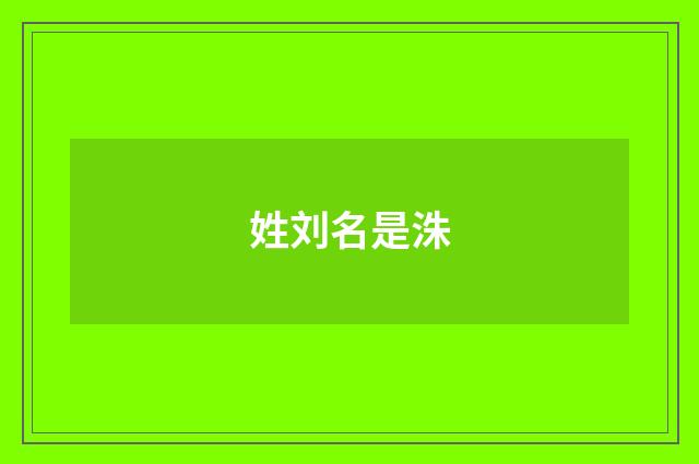 姓刘名是洙