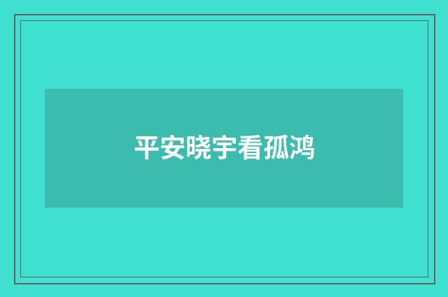 平安晓宇看孤鸿