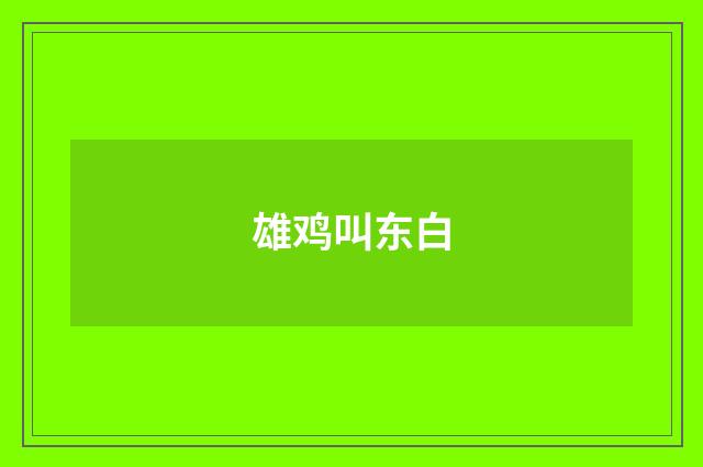 雄鸡叫东白