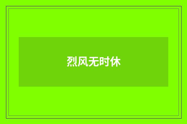 烈风无时休