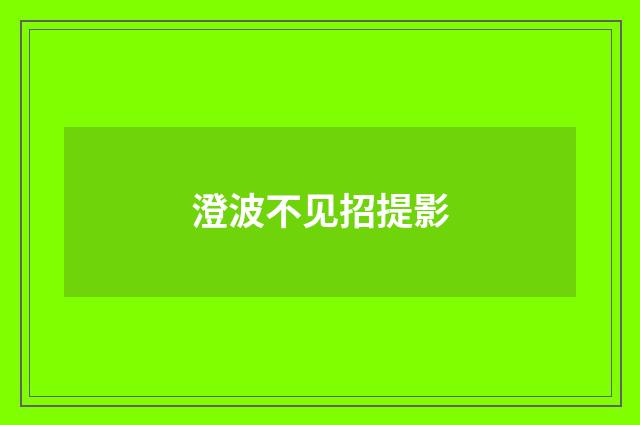 澄波不见招提影