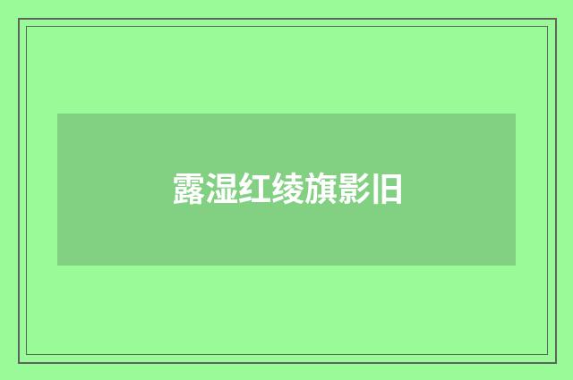露湿红绫旗影旧