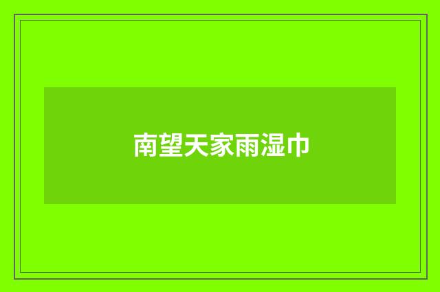 南望天家雨湿巾