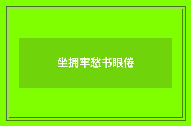 坐拥牢愁书眼倦