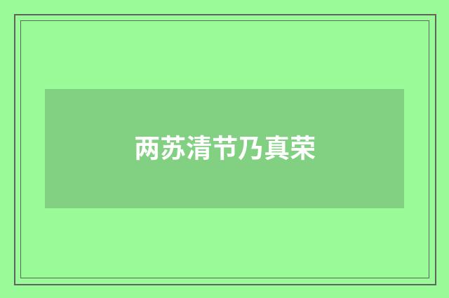 两苏清节乃真荣