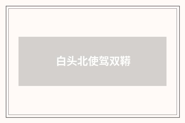 白头北使驾双鞯