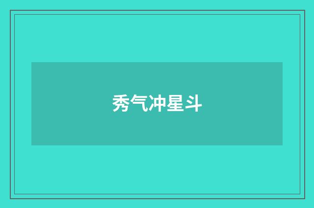 秀气冲星斗