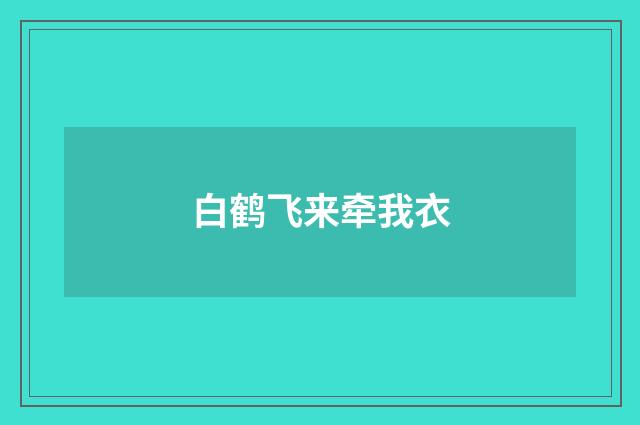 白鹤飞来牵我衣
