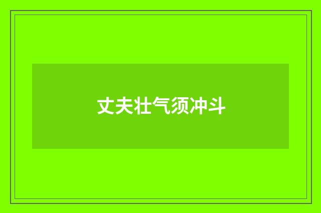 丈夫壮气须冲斗
