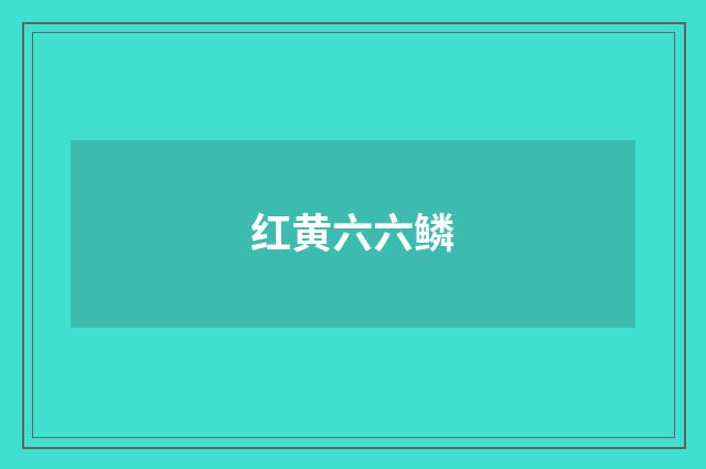 红黄六六鳞