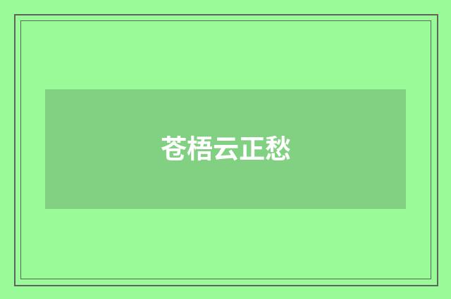 苍梧云正愁