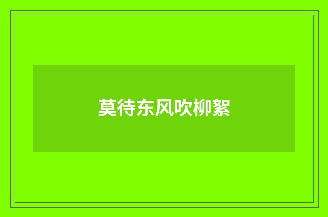 莫待东风吹柳絮