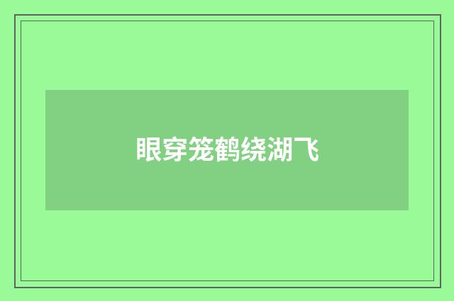 眼穿笼鹤绕湖飞