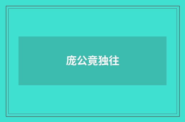 庞公竟独往