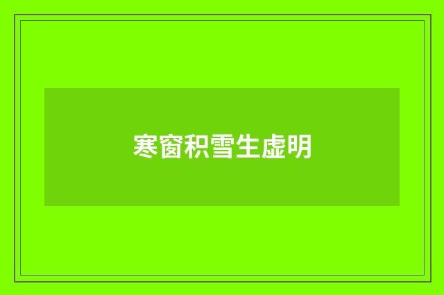 寒窗积雪生虚明