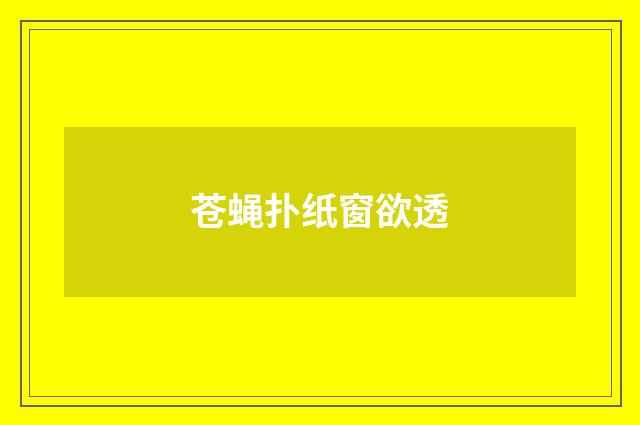 苍蝇扑纸窗欲透