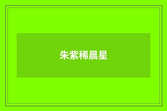 朱紫稀晨星
