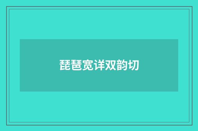 琵琶宽详双韵切