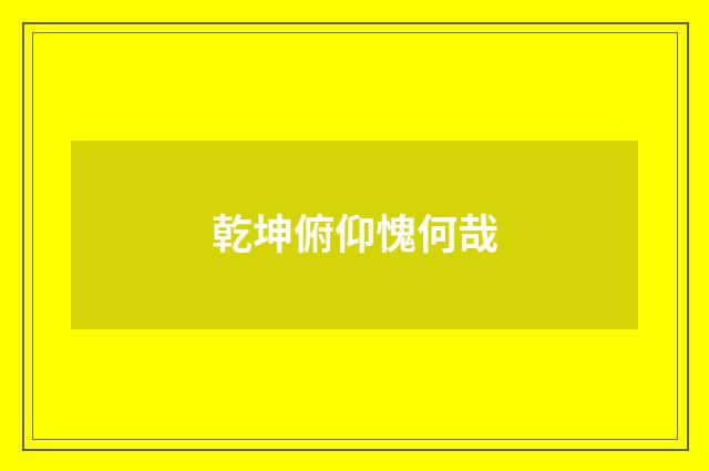 乾坤俯仰愧何哉