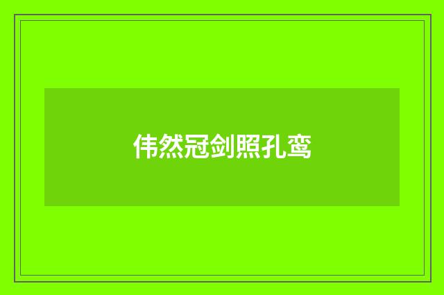 伟然冠剑照孔鸾