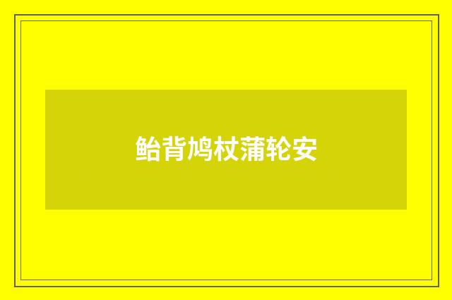 鲐背鸠杖蒲轮安