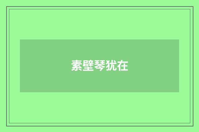 素壁琴犹在