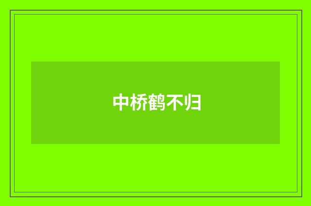 中桥鹤不归